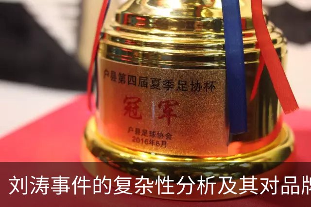 刘涛事件的复杂性分析及其对品牌形象的影响