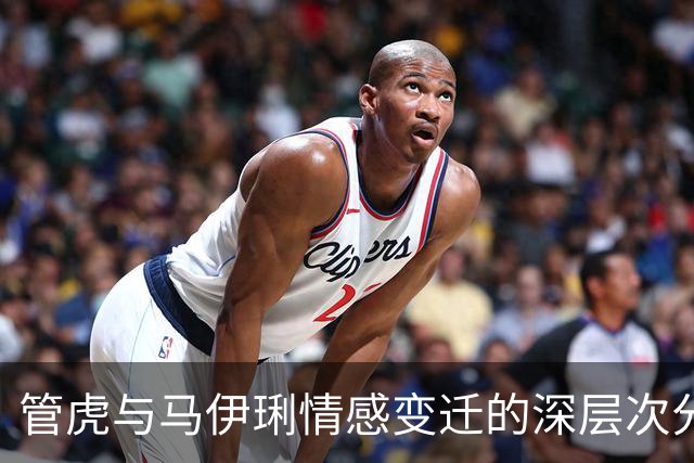 管虎与马伊琍情感变迁的深层次分析